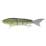 Hidden Bend Cruiser Swimbait view 2