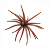 Spike Trap Urchin