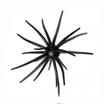 Spike Trap Urchin view 2