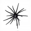 Spike Trap Urchin