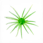 Spike Trap Urchin view 5