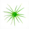 Spike Trap Urchin